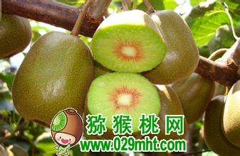 PG国际官方网站图片