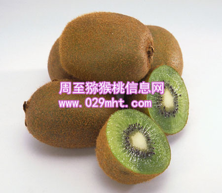 海沃德PG国际猕猴桃