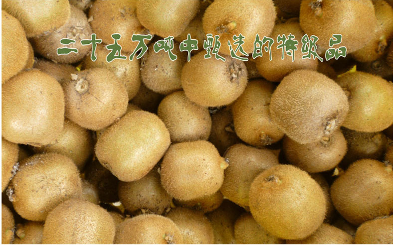 PG国际 d0f65