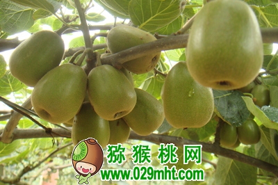 PG国际官方网站图片