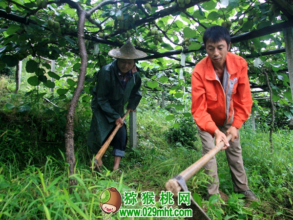PG国际官方网站图片