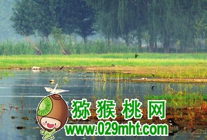 津沽乡村这最美(图)