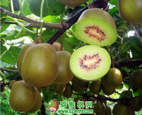 PG国际官方网站图片