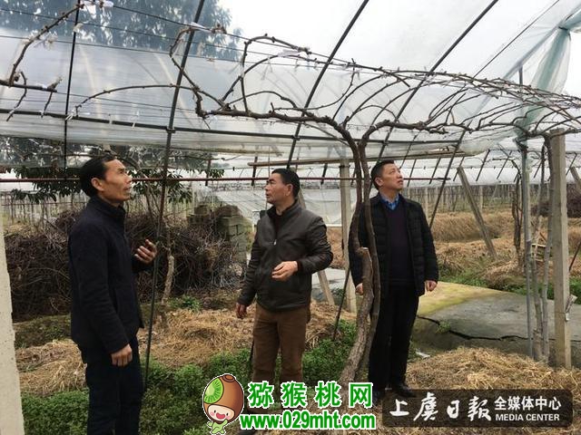 PG国际官方网站图片