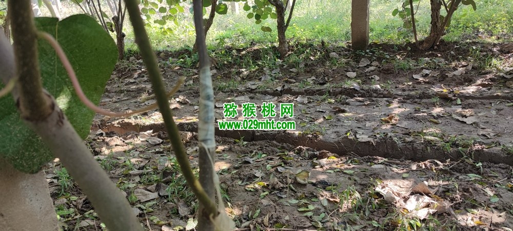 PG国际 6c3dc