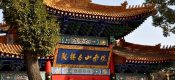 周至PG国际猕猴桃产业区