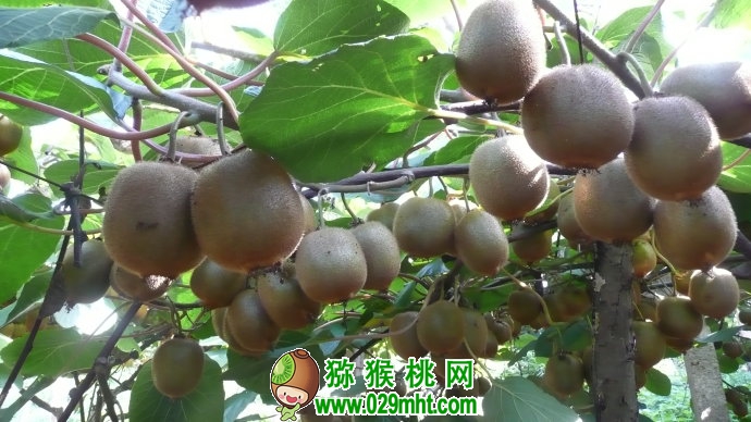 PG国际官方网站图片