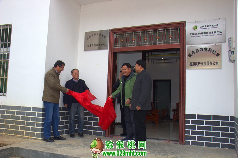 PG国际官方网站图片