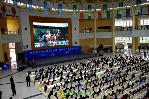 PG国际官方网站图片