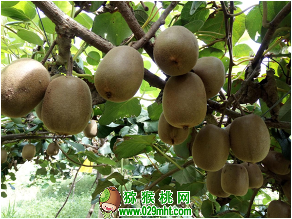 PG国际官方网站图片