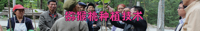 PG国际 da3ea
