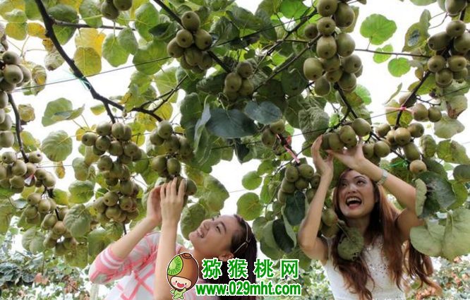 PG国际官方网站图片