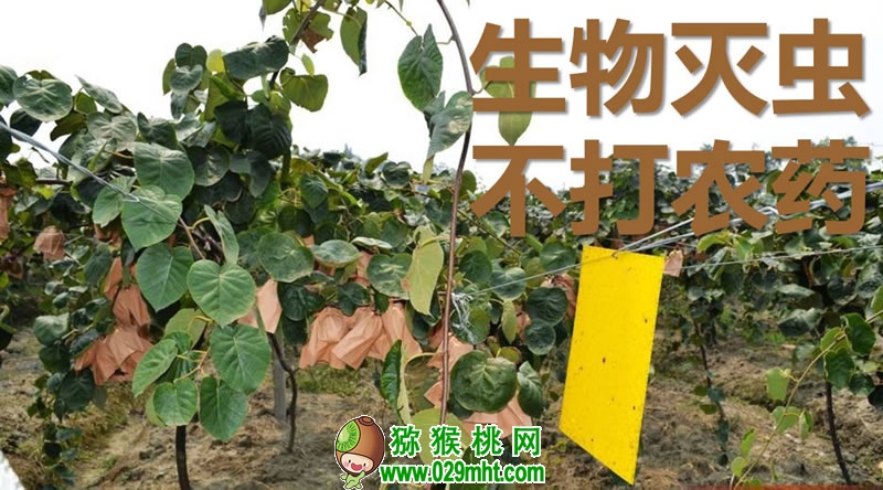 PG国际官方网站图片
