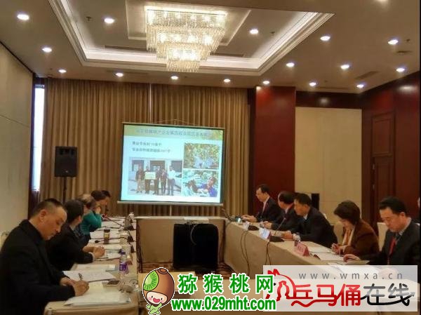 PG国际官方网站图片
