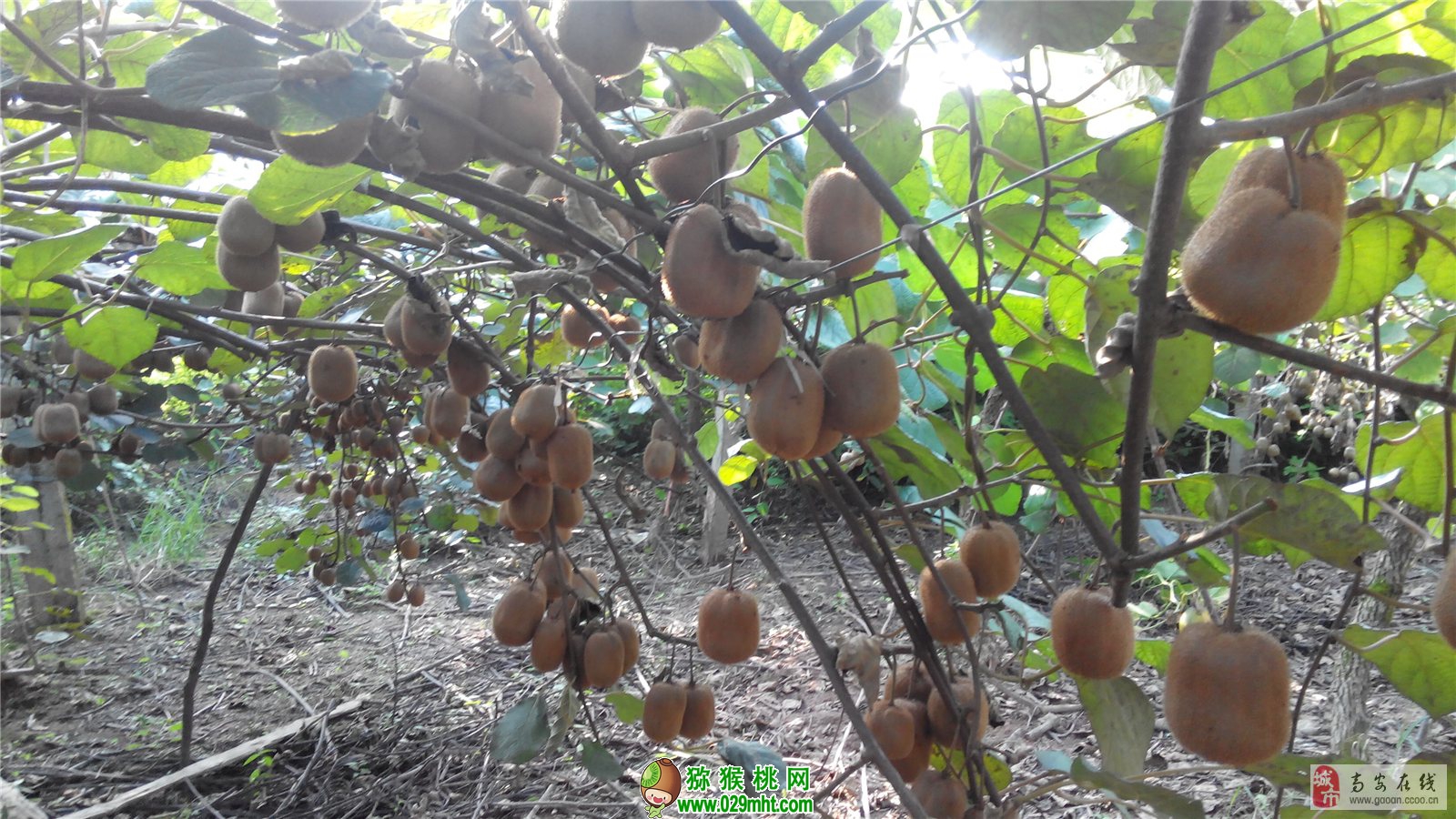 PG国际官方网站图片