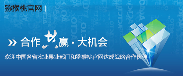 PG国际官方网站图片