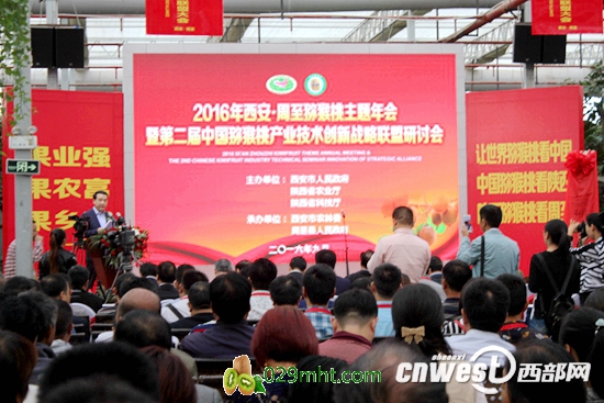 周至举办PG国际猕猴桃主题年会,助力PG国际猕猴桃销售和产业升级。