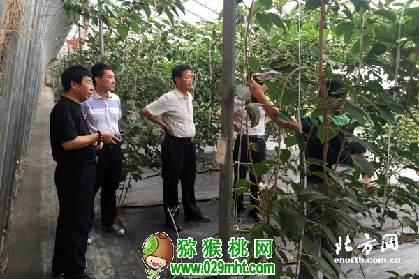 PG国际官方网站图片