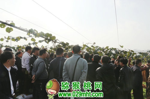 PG国际官方网站图片