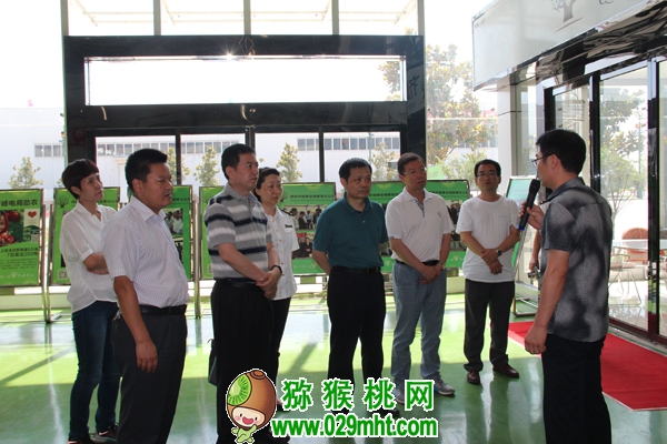 PG国际官方网站图片