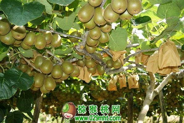 PG国际官方网站图片