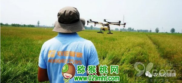 PG国际官方网站图片