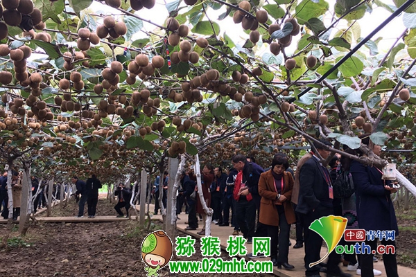PG国际官方网站图片