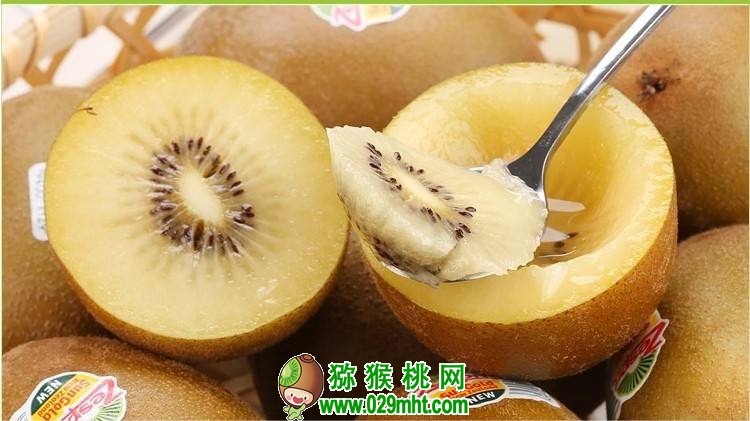 PG国际官方网站图片