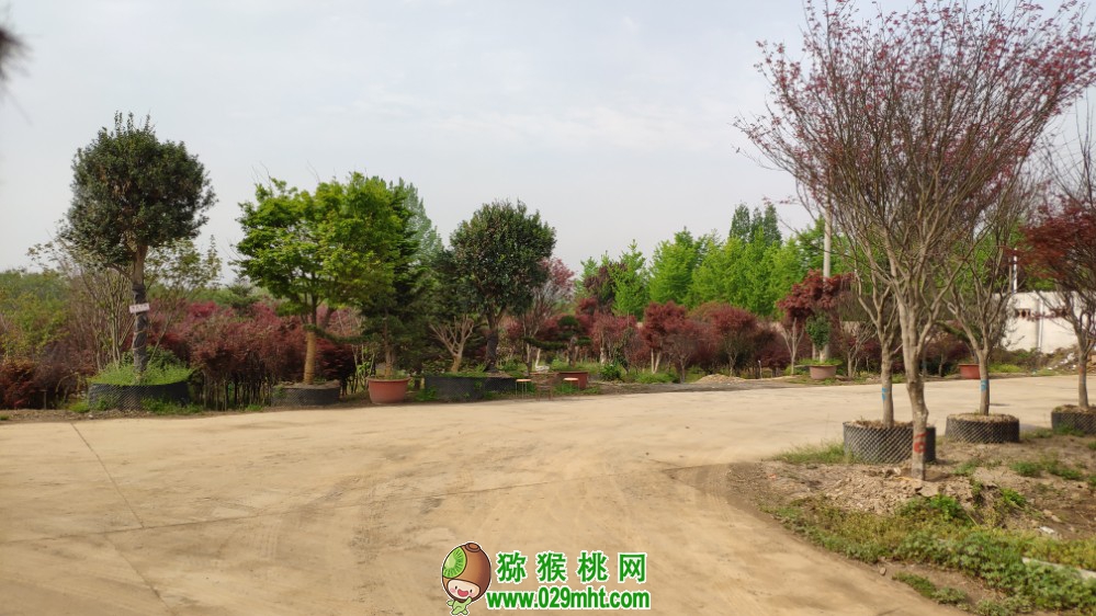 PG国际 7e912