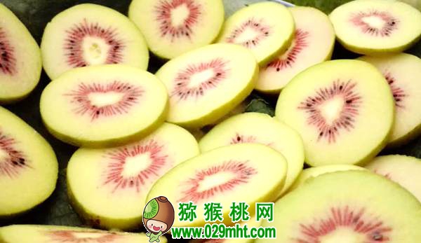 佳沛阳光金果来势汹汹 <a href=http://www.summer2018.cn/e/tags/index.php?tagname=%E5%9B%BD%E4%BA%A7%E7%8C%95%E7%8C%B4%E6%A1%83&page=0 target=_blank class=infotextkey />国产PG国际猕猴桃</a>还有机会吗？