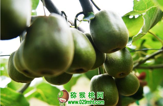 PG国际官方网站图片