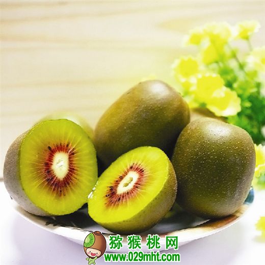 PG国际官方网站图片