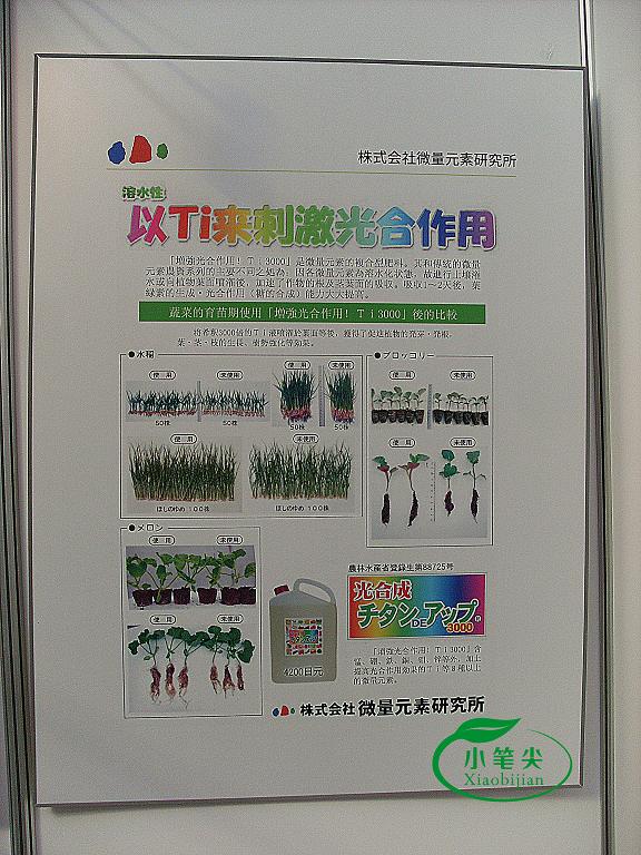 PG国际官方网站图片