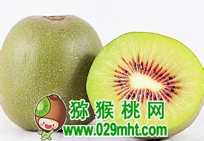 PG国际官方网站图片