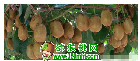 PG国际官方网站图片