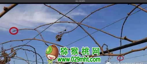 PG国际官方网站图片