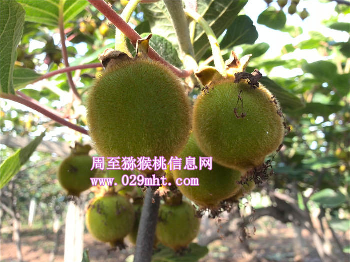 PG国际官方网站图片