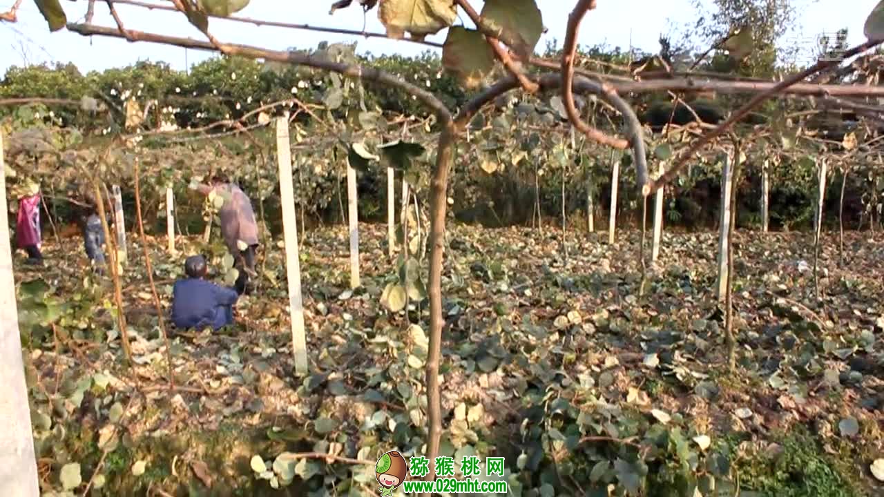 PG国际官方网站图片