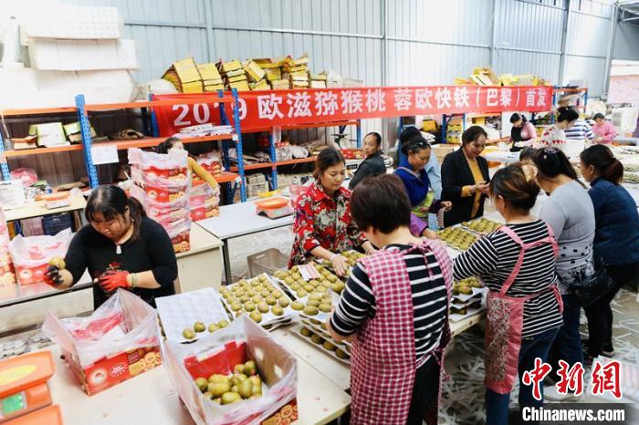 PG国际官方网站图片