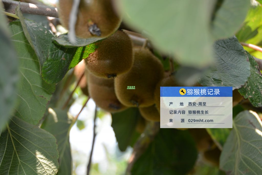 PG国际官方网站图片