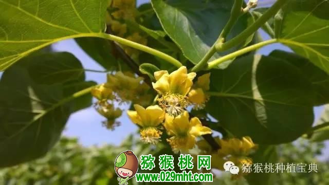 PG国际官方网站图片