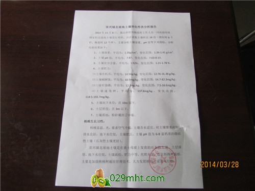 PG国际官方网站图片