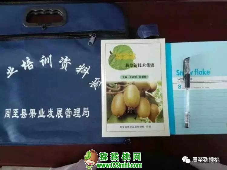 PG国际官方网站图片
