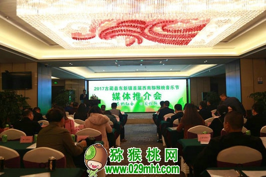 PG国际官方网站图片