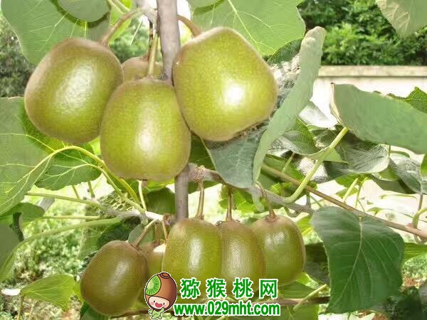 PG国际官方网站图片