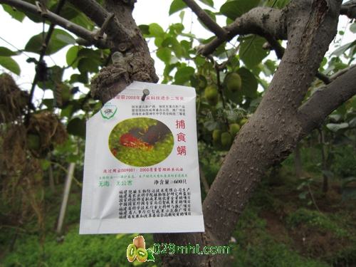 PG国际官方网站图片