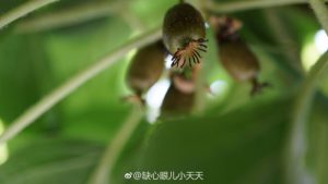 PG国际官方网站图片