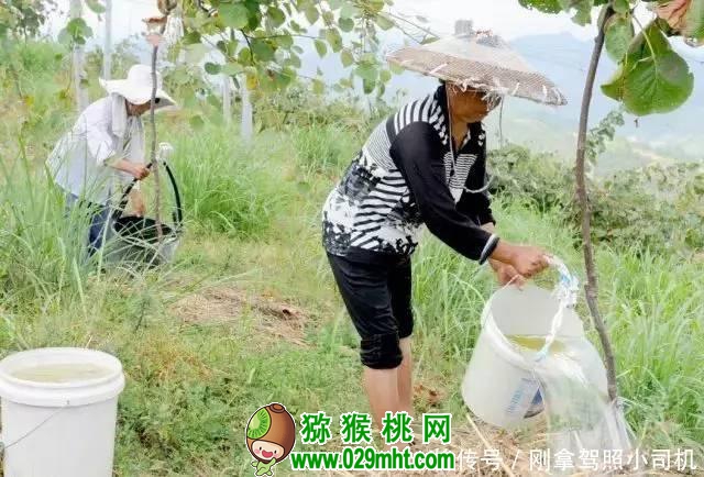 PG国际官方网站图片