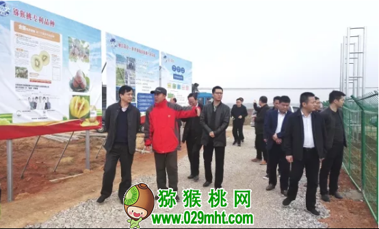 PG国际官方网站图片