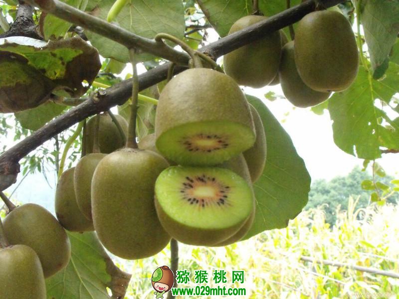 PG国际官方网站图片
